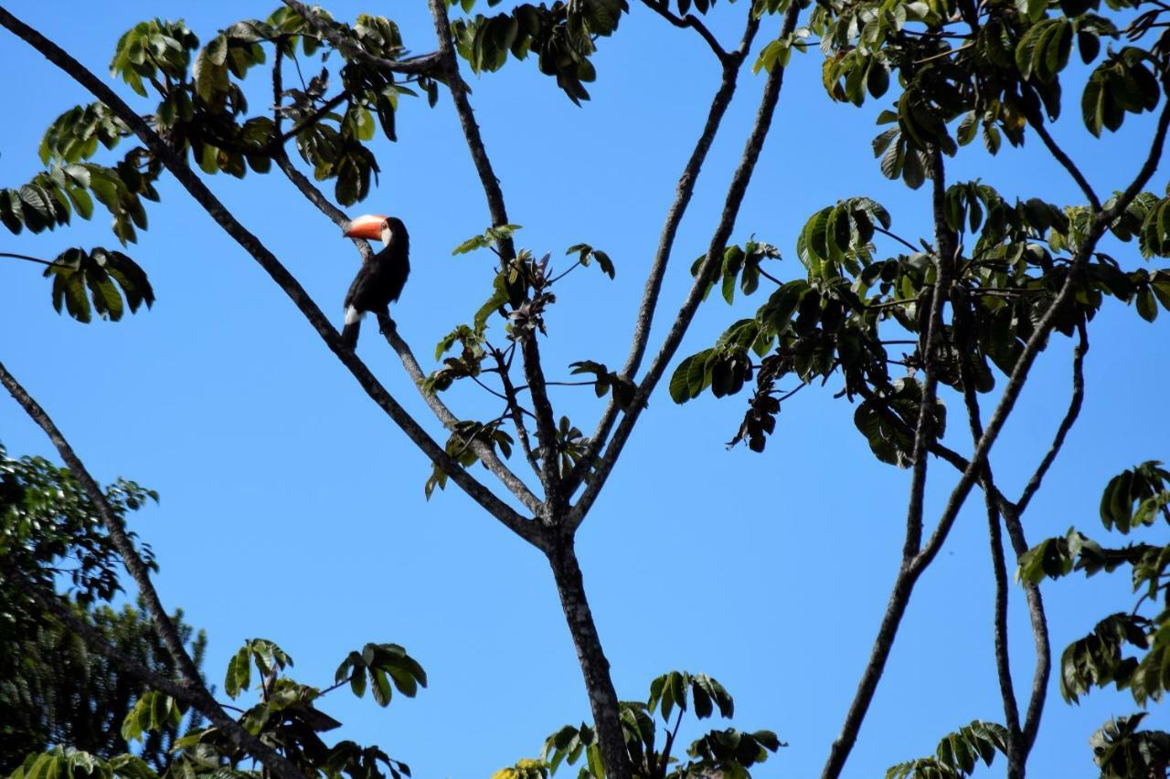Vila Dos Cristais Alto Paraíso de Goiás Bagian luar foto
