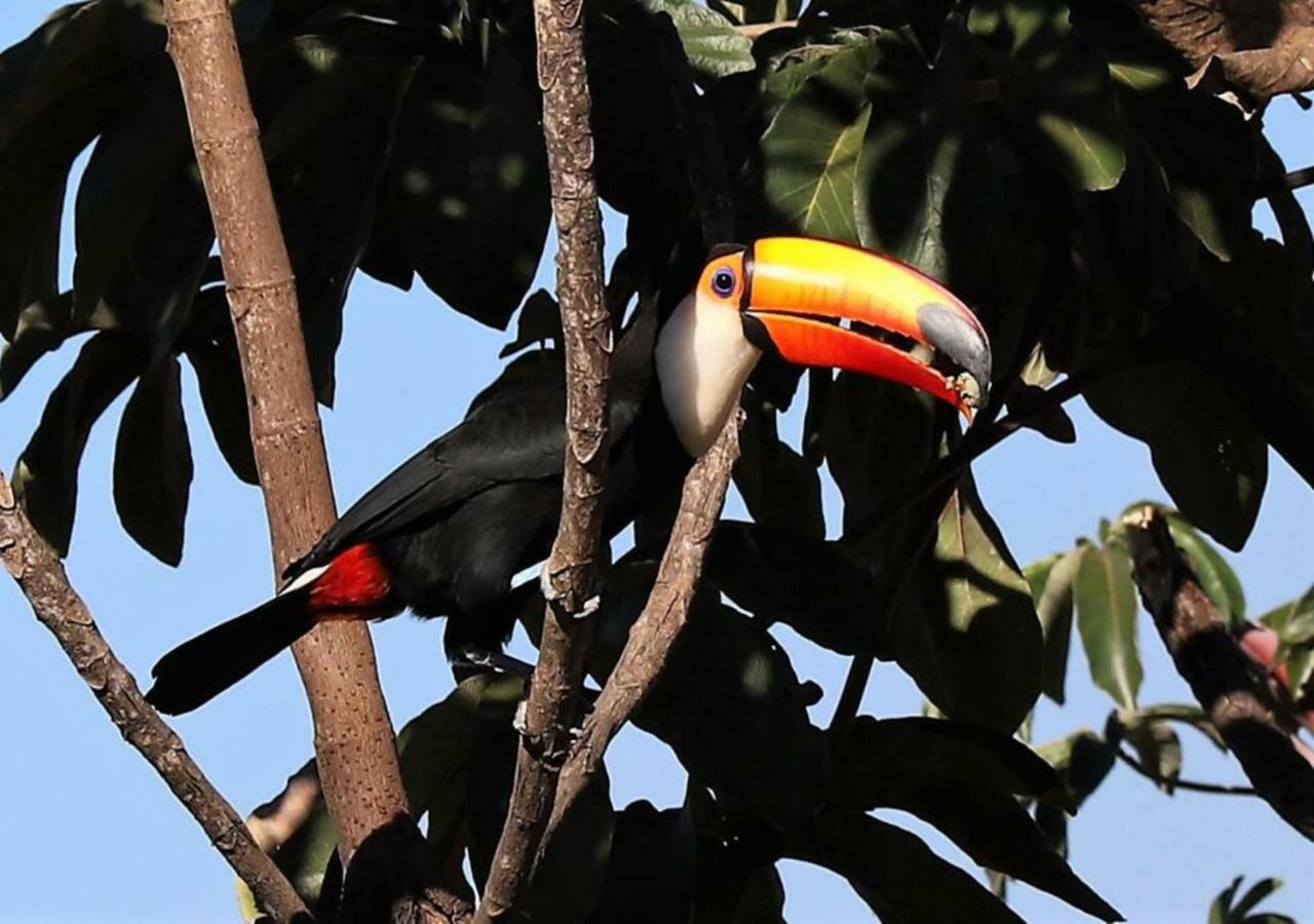 Vila Dos Cristais Alto Paraíso de Goiás Bagian luar foto